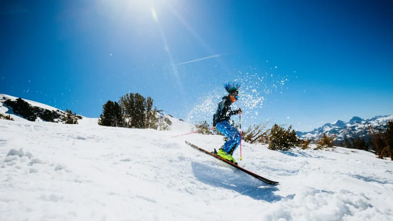 Mammoth Mountain Auction Item